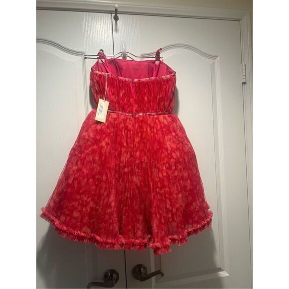 HUTCH Lenzy Strapless Pink Pleated Mini Dress princess poofy size S NWT - Picture 6 of 10